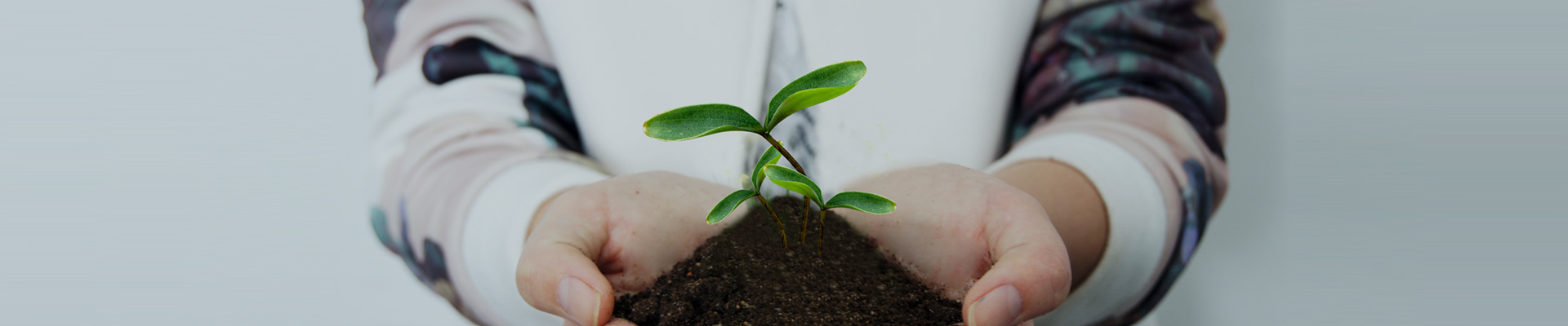 捐贈(zèng)項(xiàng)目